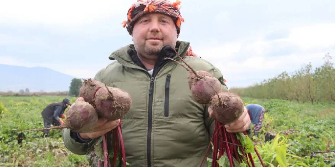 Kırmızı elmasta hasat heyecanı! Lezzeti kadar sağlığa faydası da çok: 40 TL’den kapış kapış satıyor 5